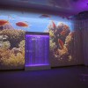 Проекционный дизайн "Виртуальная реальность" базовый комплект 500 анимаций - «globural.ru» - Енисейск