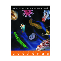 Зоология. Микрофотографии. (Цифровая база изображений) - «globural.ru» - Енисейск