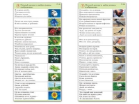 Комплект карточек (10) "Обучающий калейдоскоп. Природа" - «globural.ru» - Енисейск