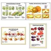 Плакаты ПРОФТЕХ "Ассортимент овощных культур" (12 пл, винил, 70х100) - «globural.ru» - Енисейск