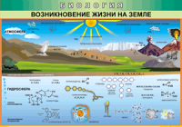 Таблица Возникновение жизни на Земле 1000*1400 винил - «globural.ru» - Енисейск