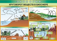 Таблица Круговорот веществ в биосфере 1000*700 винил - «globural.ru» - Енисейск