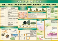 Таблица Биотические взаимоотношения организмов 1000*700 (винил) - «globural.ru» - Енисейск
