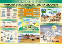 Таблица Антропогенное воздействие на биосферу 1000*700 винил - «globural.ru» - Енисейск