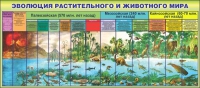 Стенд "Эволюция растительного и животного мира" - «globural.ru» - Енисейск