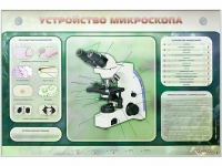 Электрифицированный стенд "Устройство микроскопа и правила работы c ним" - «globural.ru» - Енисейск
