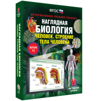 Наглядная биология. Человек. Строение тела человека - «globural.ru» - Енисейск