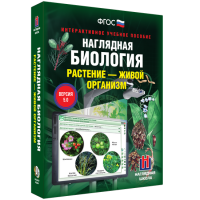 Наглядная биология. Растение - живой организм - «globural.ru» - Енисейск
