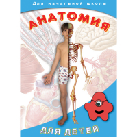 DVD  Анатомия для детей - «globural.ru» - Енисейск