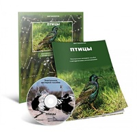 Электронное наглядное пособие «Птицы» - «globural.ru» - Енисейск