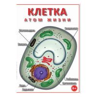 DVD Клетка - "атом жизни" - «globural.ru» - Енисейск
