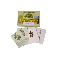 Гербарий "Деревья и кустарники" (22 вида, с иллюстрациями) - «globural.ru» - Енисейск