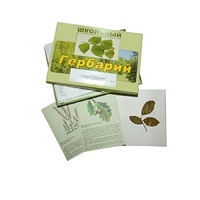 Гербарий "Дикорастущие растения" (30 видов, с иллюстрациями) - «globural.ru» - Енисейск