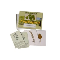 Гербарий "Лекарственные растения" (22 вида, с иллюстрациями) - «globural.ru» - Енисейск