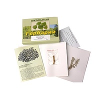 Гербарий "Водоросли. Грибы. Лишайники" (раздаточный) - «globural.ru» - Енисейск