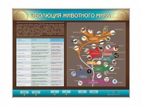 Интерактивный электрифицированный стенд "Эволюция животного мира" - «globural.ru» - Енисейск