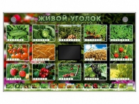 Комплект оборудования "Живой уголок" (растения) - «globural.ru» - Енисейск