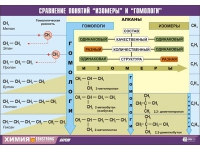 Таблица демонстрационная "Сравнение понятий изомер и гомолог" (винил 100х140) - «globural.ru» - Енисейск