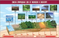 Таблица демонстрационная "Смена природных зон от полюсов к экватору" (винил 70x100) - «globural.ru» - Енисейск