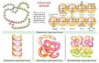 Плакаты и таблицы по общей химии - «globural.ru» - Енисейск