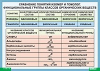 Химия. Сравнение понятий изомер и гомолог. Функциональные группы классов органических веществ (винил) - «globural.ru» - Енисейск