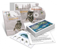 Комбинированное наглядное пособие «Животные» - «globural.ru» - Енисейск