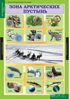Окружающий мир 4 класс (комплект таблиц) - «globural.ru» - Енисейск