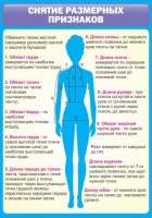 Стенд "Снятие мерок" (вариант 2) - «globural.ru» - Енисейск