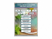 Стенд "Схема приготовления мясных котлет" - «globural.ru» - Енисейск