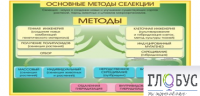 Стенд "Методы селекции и биотехнологии" - «globural.ru» - Енисейск