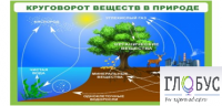Стенд "Круговорот веществ" - «globural.ru» - Енисейск