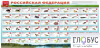Стенд "Красная книга РФ" - «globural.ru» - Енисейск