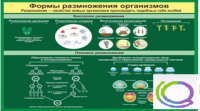 Стенд "Формы размножения организмов" - «globural.ru» - Енисейск