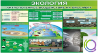 Стенд "Экология. Антропогенное воздействие на биосферу" - «globural.ru» - Енисейск