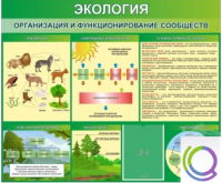 Стенд "Экология. Организация и функционирование сообществ" - «globural.ru» - Енисейск