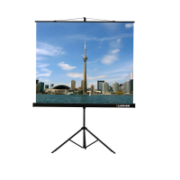 Проекционный экран на штативе Lumien Eco View (LEV-100105) 160x160 см - «globural.ru» - Енисейск
