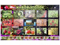 Комплект оборудования "Живой уголок" (растения) с тифлопереводом и сурдокомментариями - «globural.ru» - Енисейск