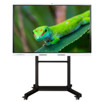 Интерактивный комплекс Geckotouch ​​​​​​​65RK - «globural.ru» - Енисейск