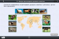 Интерактивные курсы. Биология 7 класс. Расширенный - «globural.ru» - Енисейск