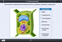 Интерактивные курсы. Биология 9 класс. Расширенный - «globural.ru» - Енисейск