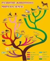 Стенд "Развитие животного мира на земле" - «globural.ru» - Енисейск