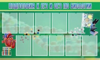 Стенд "Подготовка к ЕГЭ и ОГЭ по биологии" (вариант 2) - «globural.ru» - Енисейск