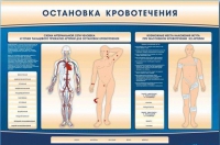 Электрифицированный стенд-тренажер "Остановка кровотечения" - «globural.ru» - Енисейск