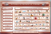 Трехсекционный базовый комплект "Травмы. Кровотечения. Ожоги" для учащихся общеобразовательных учреждений - «globural.ru» - Енисейск