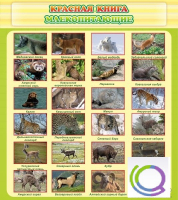 Стенд "Красная книга - млекопитающие" - «globural.ru» - Енисейск