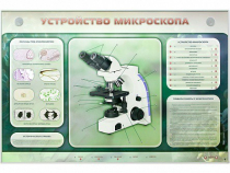 Электрифицированный стенд "Устройство микроскопа и правила работы c ним" - «globural.ru» - Енисейск