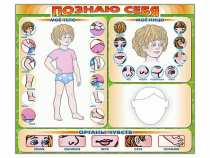 Стенд маркерный "Познаю себя" (тело, голова, органы чувств) - «globural.ru» - Енисейск