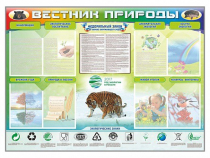 Стенд-уголок "Вестник природы" (вариант 1) - «globural.ru» - Енисейск