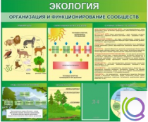 Стенд "Экология. Организация и функционирование сообществ" - «globural.ru» - Енисейск
