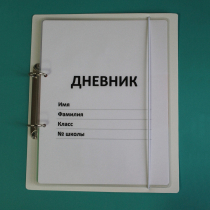 Дневник школьника (с полным набором карточек) - «globural.ru» - Енисейск